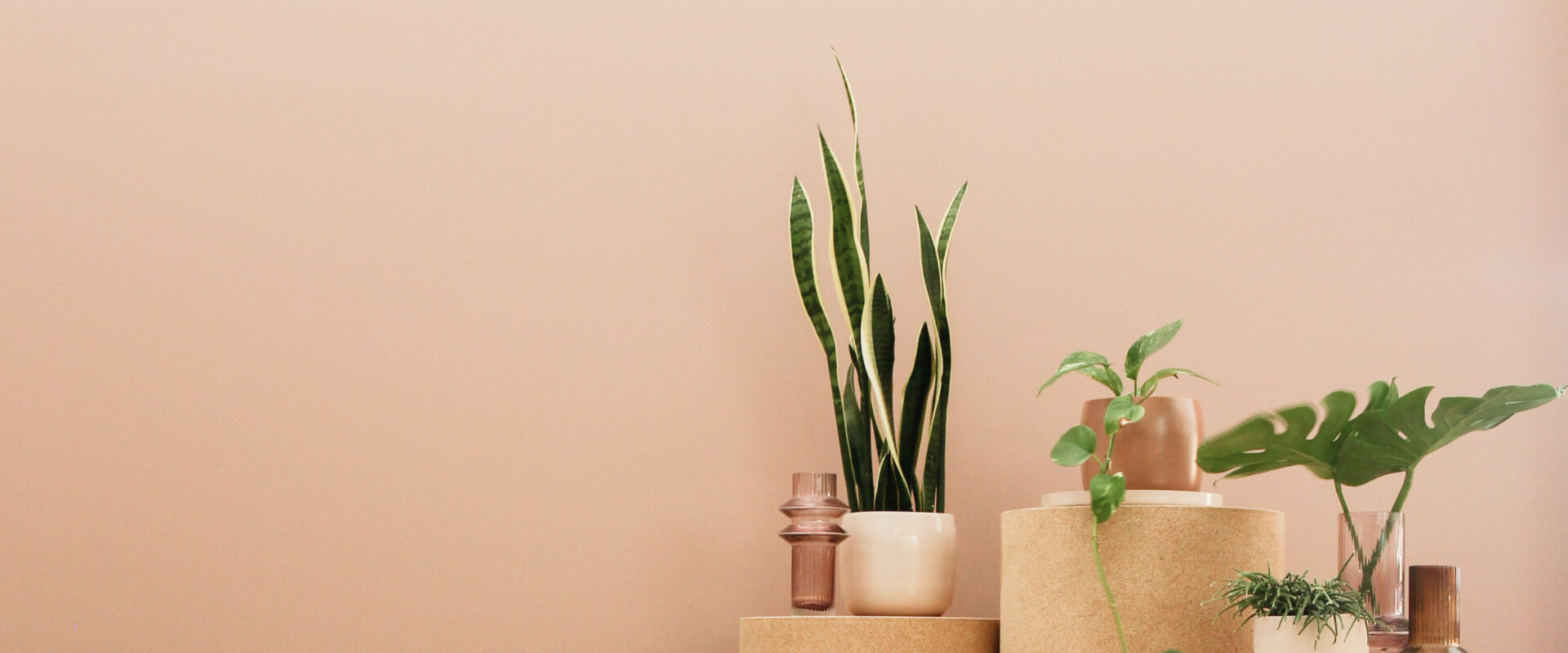Spring Refresh realness